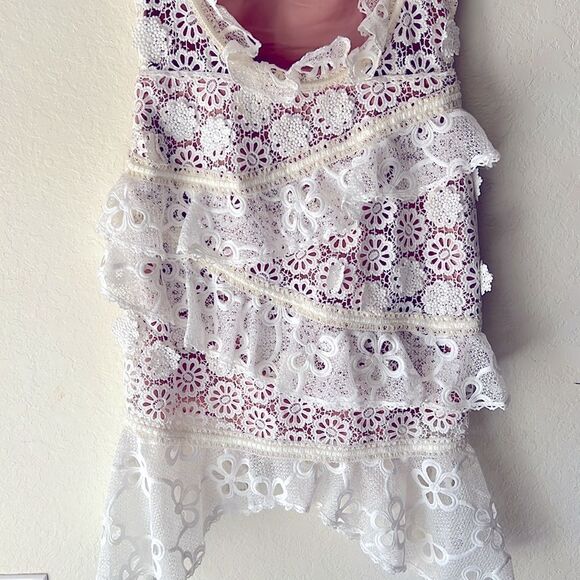 Alexis Lace Dress  - Picture 8 of 10